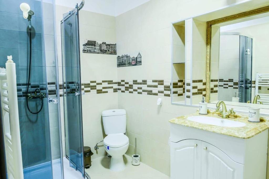 Mary Apartment Old Town Brasov Ngoại thất bức ảnh