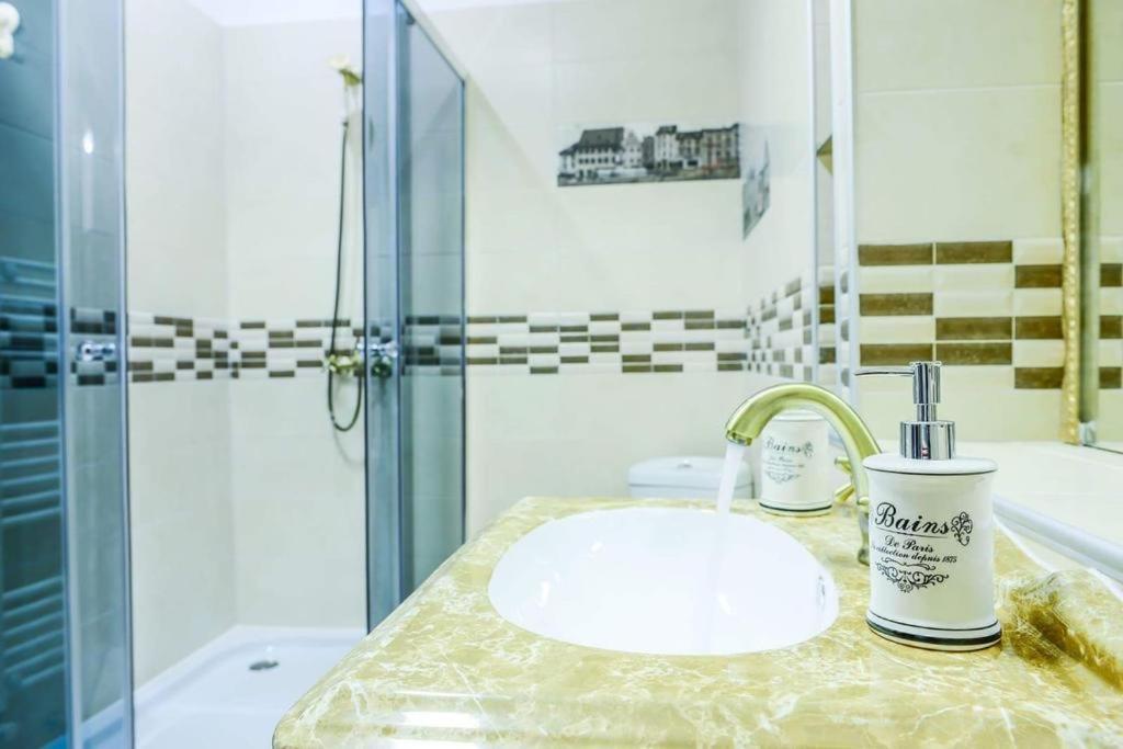 Mary Apartment Old Town Brasov Ngoại thất bức ảnh